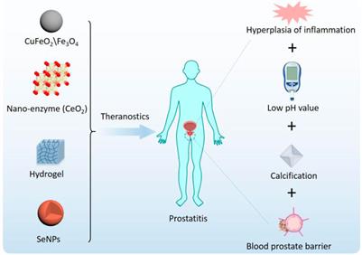 Frontiers Therapeutic Applications of Functional Nanomaterials